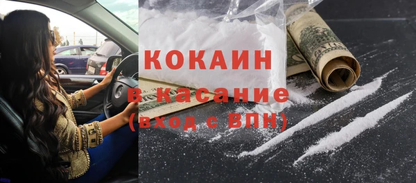 эйфоретик Няндома